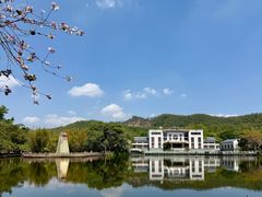 -大屏嶂森林公园