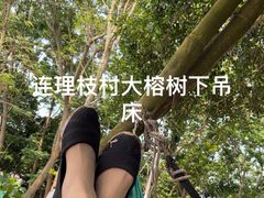 -东寨港红树林旅游区