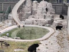 -石家庄市动物园