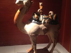 -四川宋瓷博物馆