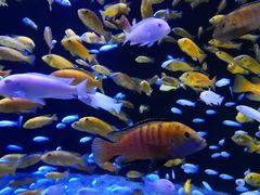 -成都浩海立方海洋公园