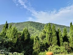 -惠山国家森林公园