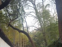 -杭州黄龙洞
