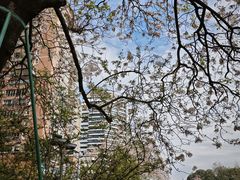 -成都市活水公园