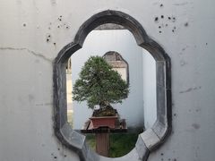 -扬州大运河文化旅游度假区·盆景园