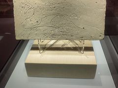 -张掖市博物馆