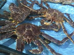 -渔民新村(番禺总店)