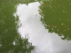 -南岳衡山风景名胜区-南岳大庙