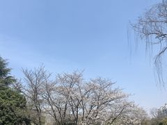 -堤角公园