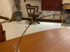 -Ginko银子(青龙街店)