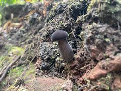 -赤水丹霞旅游区·大瀑布