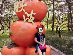 -苏州吴中太湖旅游区