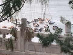 -迎泽公园