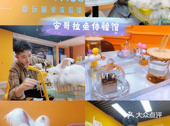 天津打卡 | 第一次见到这么大的兔子