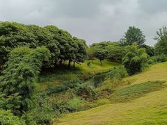 -两河城市森林公园