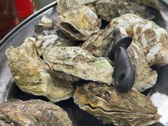 原只蒸生蚝-嘉升大排档(番禺总店)