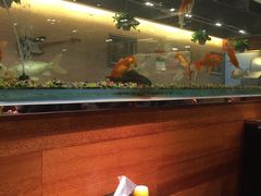 -问渔烤鱼(回龙观总店)