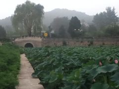 iphone_upload_pic-北京红螺园饭店