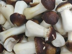 -慢丽江·云南野生菌土鸡锅(付家庄店)