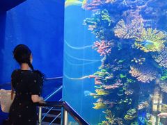 -西安曲江海洋极地公园