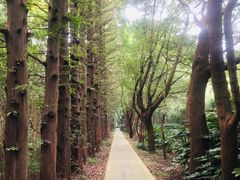 -同里国家湿地公园