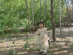 -哈尔滨文化公园