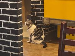 -王老六铁锅炖鱼(长春路店)