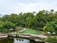 -广州莲花山旅游区