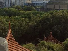 -深圳龙潭公园