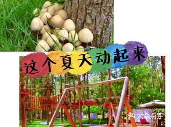 夏天来啦！还要宅在家？No，出来运动吧 ！