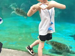 -海合安成都极地海洋公园
