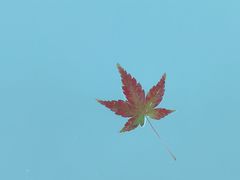-凤翔首邑温泉度假村