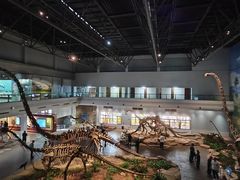 -自贡恐龙博物馆