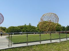 -东方绿舟景区