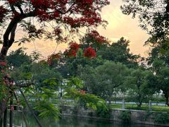 -赤坎·广东华侨国际旅游度假区