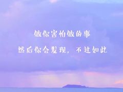 -老王豆皮