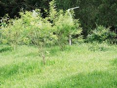 -人民公园(罗湖区)