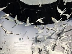 -中国湿地博物馆