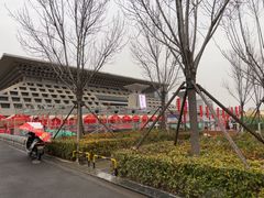 -安阳博物馆