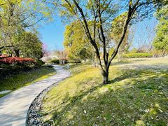 -经纬·泓汇地标家园