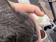 -悠尼宠物·独立低压伊珊娜洗护·美容·寄养(兰谷路店)