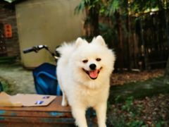 -盐坦烤全羊·特色小吃(城南店)