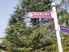 -洛阳郁金香牡丹园