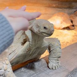 -Zoolung Zoolung动物主题公园(海信广场店)