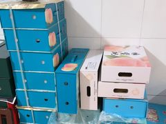 -老袁家蜜桃农场·阳山水蜜桃