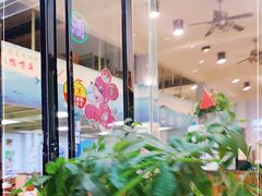 -鸭嘴鱼
