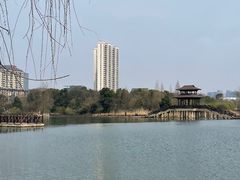 -洋湖国家湿地公园