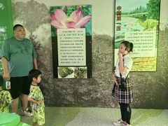 -嘉荫恐龙国家地质公园