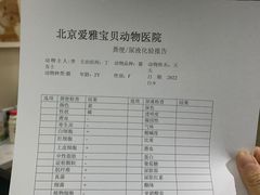 -中农大我爱我爱24h动物医院·中医针灸·猫专科·骨科医疗中心(双井店)
