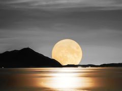 -西涌国际滨海旅游区